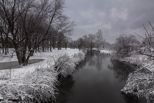 03-12-2014 Snow in Morton Arboretum 021